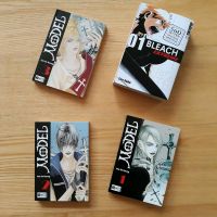 Model (Lee So-Young) & Bleach Extreme Mangas Niedersachsen - Braunschweig Vorschau