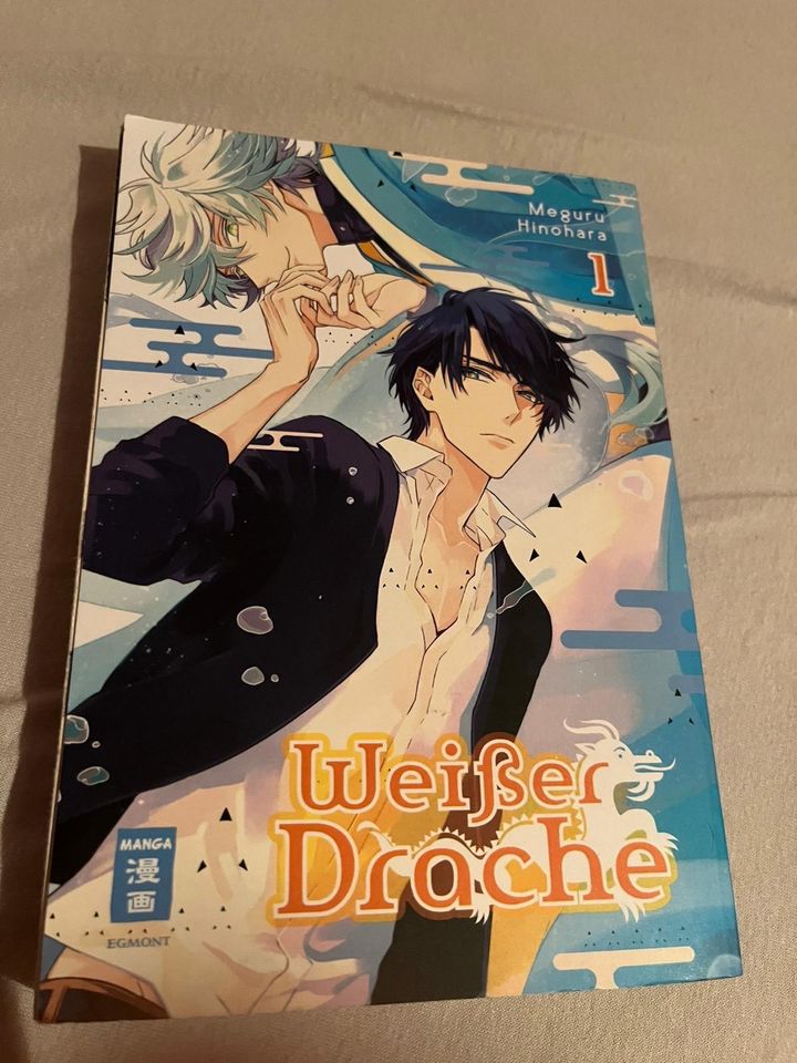 Verschiedene Mangas und Anime DVD in Neumünster