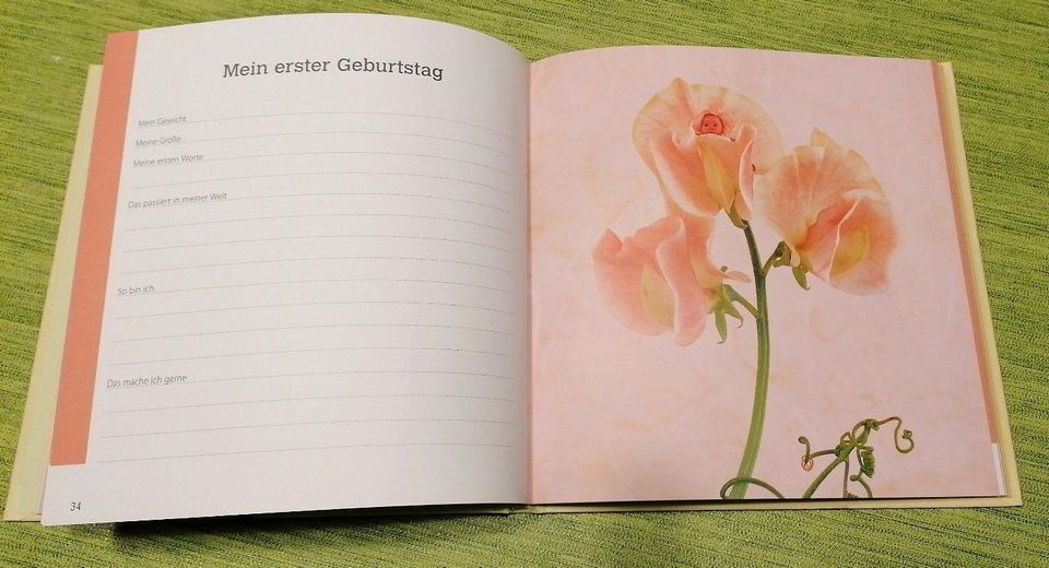 Erinnerungsalbum von Anne Geddes in Chemnitz