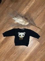 Baby Junge Pullover Saarland - Homburg Vorschau