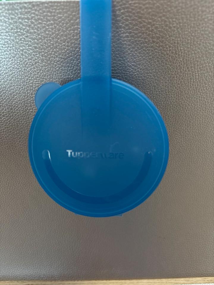 2x Tupperware „vergiss mein nicht Dose“ Kühlschrank Behälter in Greifswald