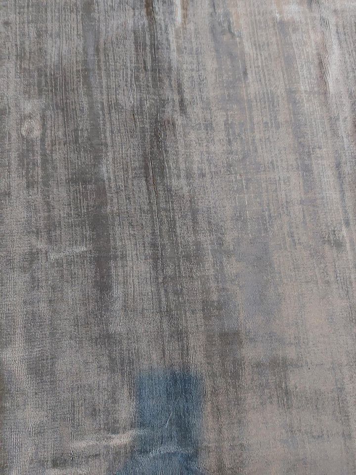 Teppich 170x240cm grau Beige in Feucht