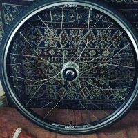 Rohloff Speedhub Laufradsatz Wurzelspeichen Niedersachsen - Lauenförde Vorschau