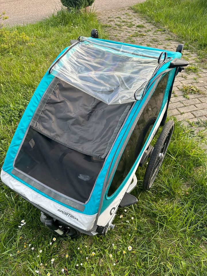 Qeridoo Sportrex 2 2019 Variante in Aquamarin in Braschwitz