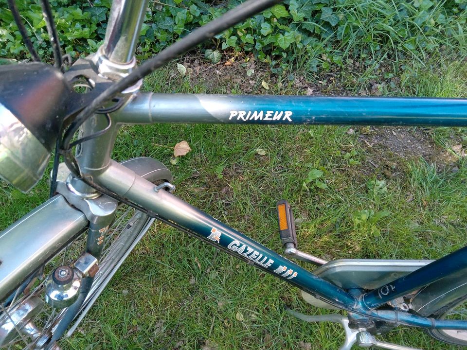 Herrenfahrrad Gazelle in Martfeld