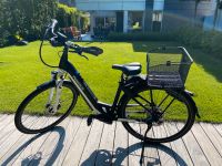 E Bike Pegasus Premio EVO10 lite 625Wh Trecking Dortmund - Holzen Vorschau