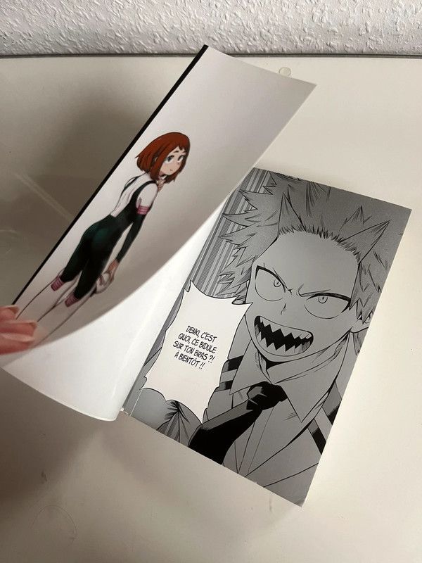 My Hero Academia 11 - französisch!! ~ Manga in Bruchsal
