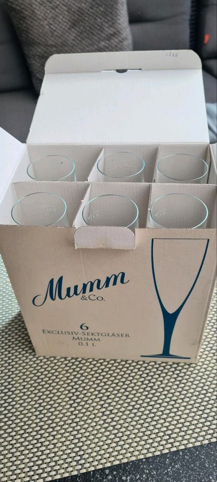 6x Mumm Exclusiv-Sektgläser,  Mumm & Co in Lörzweiler