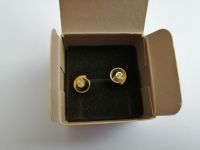 Ohrstecker/ Ohrringe mit Stein/ AVON - Golden Shell Earrings #NEU Nordrhein-Westfalen - Lügde Vorschau