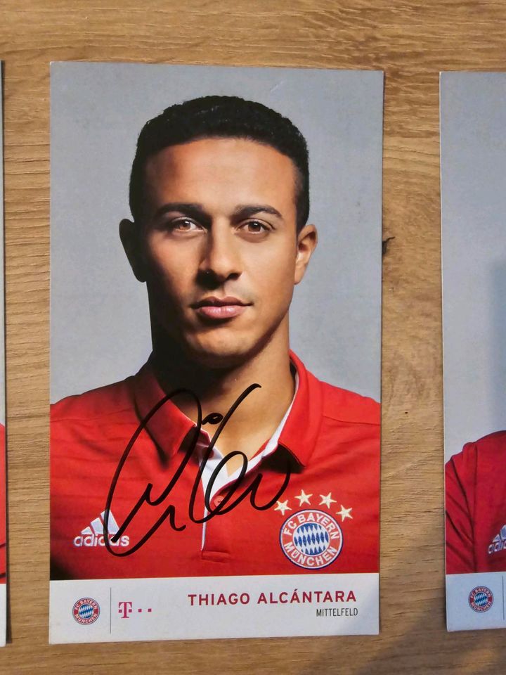 Bayern München 2016/17 Original Hand Autogrammkarten 9 in Nürnberg (Mittelfr)