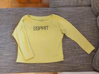 Gr. M Esprit Sweatshirt Pullover helles grün Lime Limette Bayern - Schweitenkirchen Vorschau