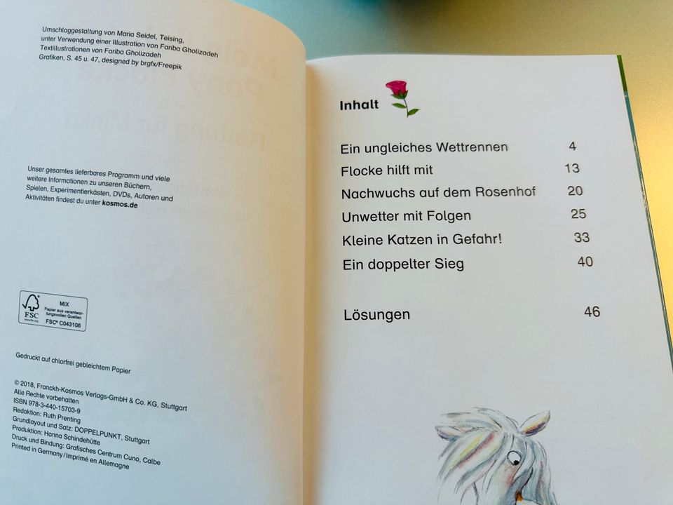 Wie neu Buch, Erstleser, Pony Pferd Bücherhelden, 1. Klasse in Rösrath