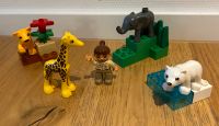 LEGO Duplo Set 4962 Zoo Tierbabies Giraffe Elefant Eisbär Löwe Bayern - Aschaffenburg Vorschau