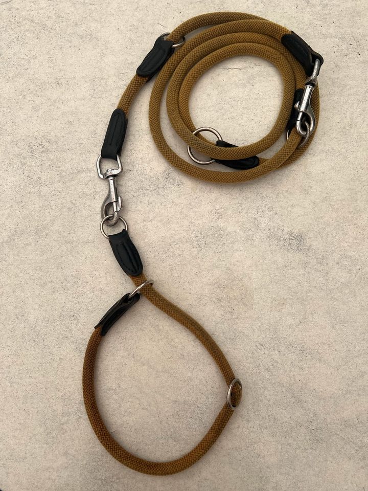 Retriever-Halsband mit Leine Gr. L-XL - Marke: Hunter in Langeneichstädt