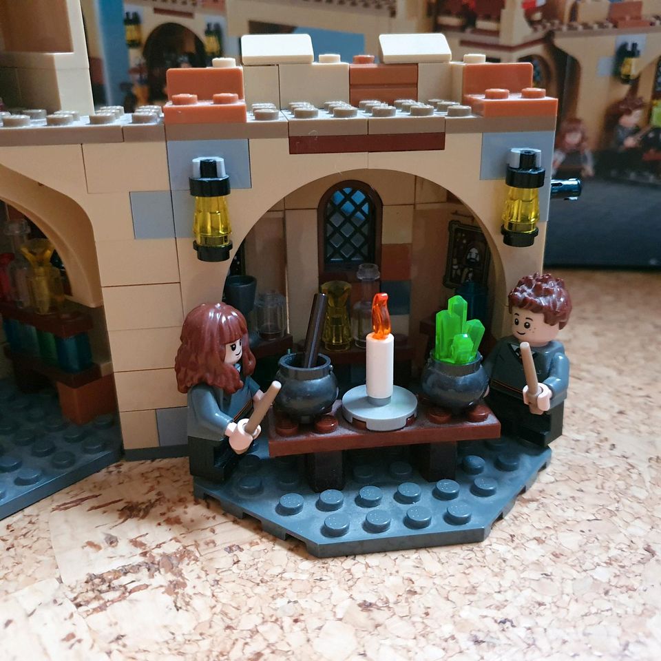 Lego Harry Potter - Die Peitschende Weide von Hogwarts 75953 in Pfaffenweiler