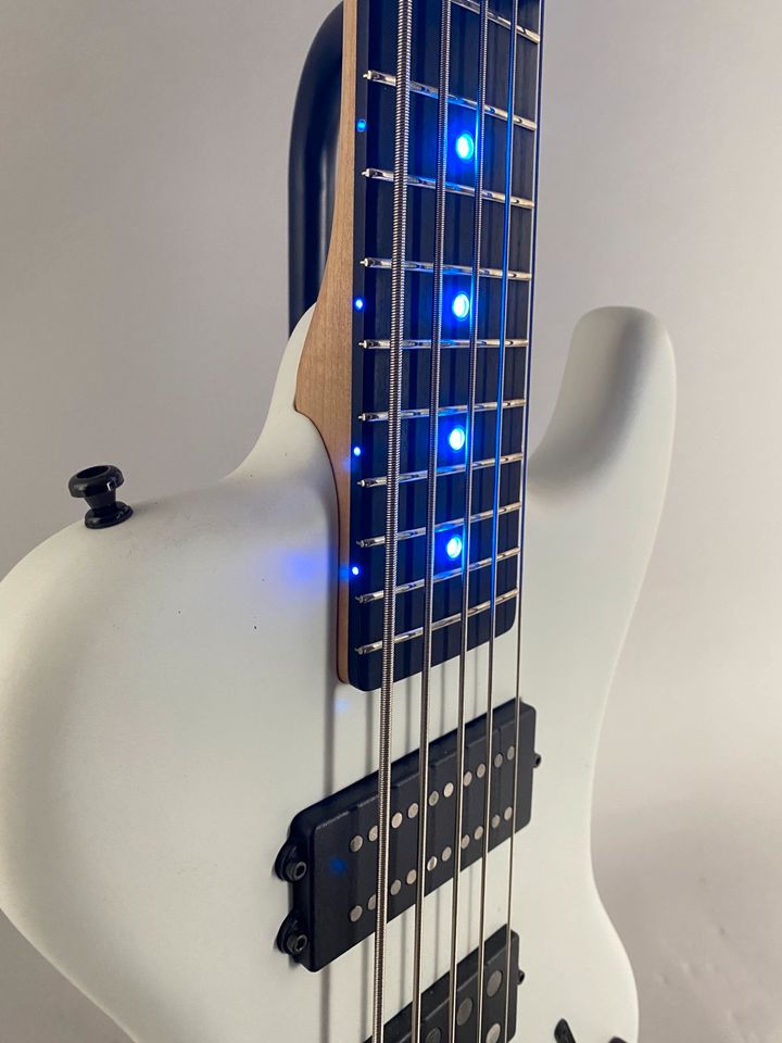 Nature Shock Custom 5 String "RD" BASS Illuminated Dots Case in Herne