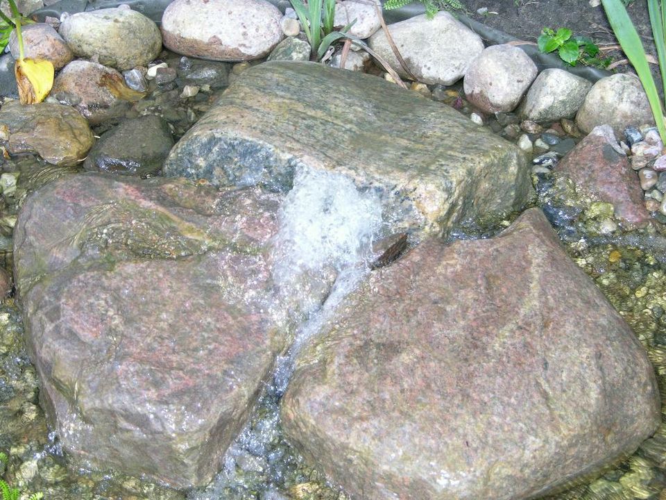 Teich, Gartenteich, Schwimmteich, Wasser im Garten, Bachläufe in Dahlenburg