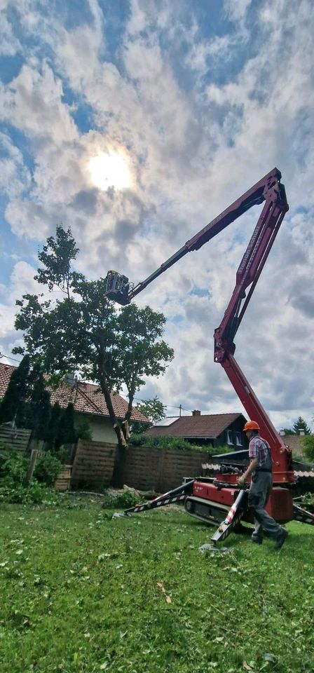 Baumfällung  Baumarbeiten Baumfäller Baumpflege Fällung in Kempten