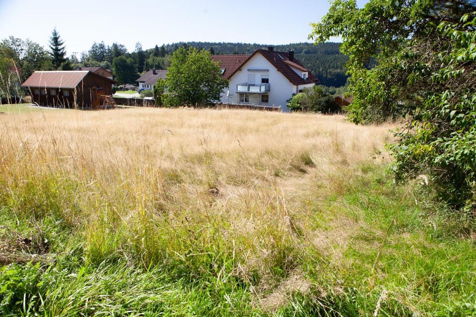 Sonniges Baugrundstück - am ruhigen Ortsrand in Stadlern