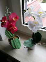 Kunst Pflanzen, Kunstblumen, Orchidee Nordrhein-Westfalen - Hiddenhausen Vorschau