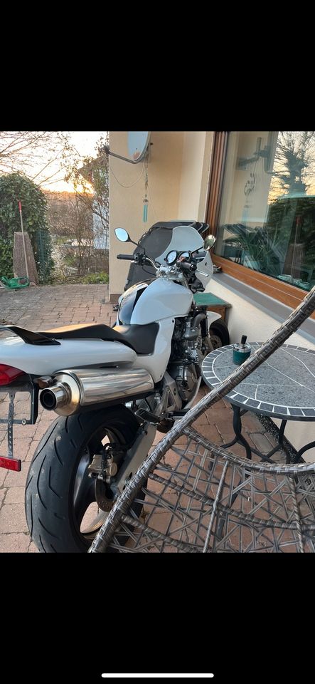 Honda Hornet 600 PC34 A2 in Buchen (Odenwald)