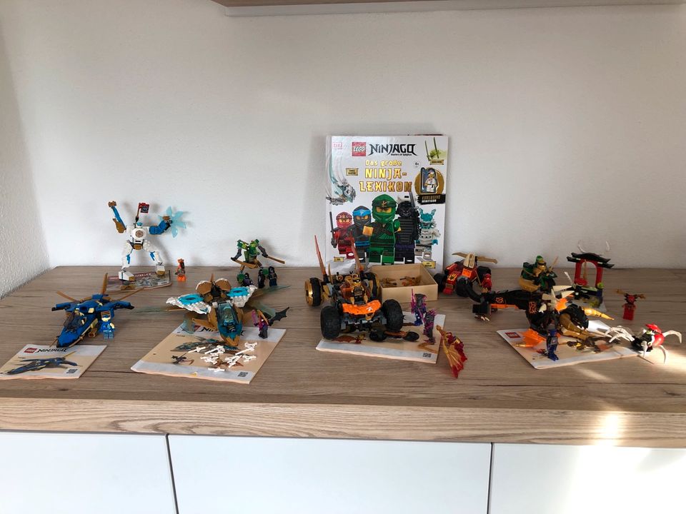 Lego Ninjago in Ronshausen