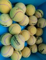 10 bis 35 Tennisbälle Head Dunlop Ball für Hunde oder zum Spielen Nordrhein-Westfalen - Rheurdt Vorschau