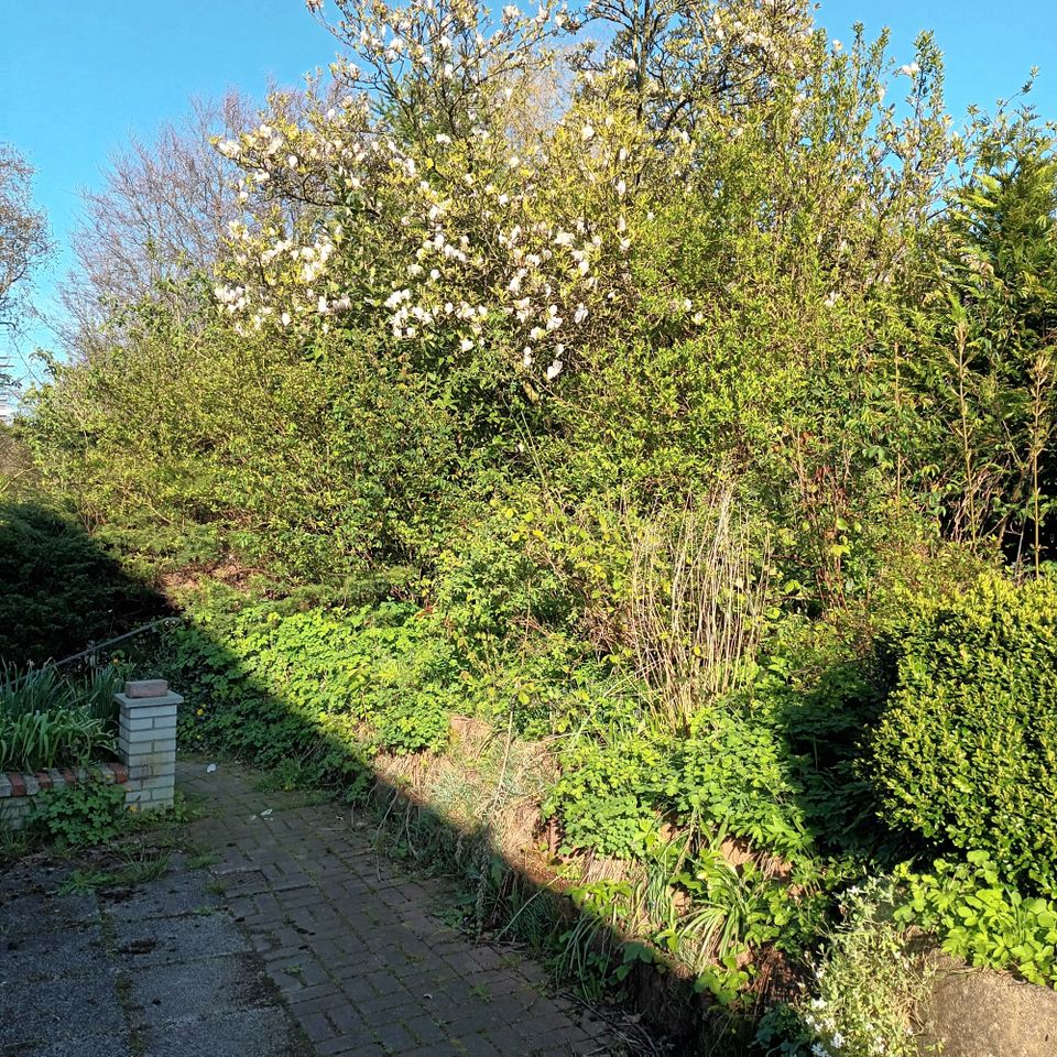 Mehrfamilienhaus, Generationen, 3 Wohnungen in Kasseedorf