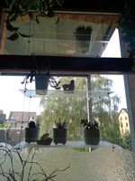Plexiglas Fensterregal Niedersachsen - Braunschweig Vorschau