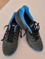 Herren Tennisschuhe Asics 44.5 neuwertig Nordrhein-Westfalen - Paderborn Vorschau