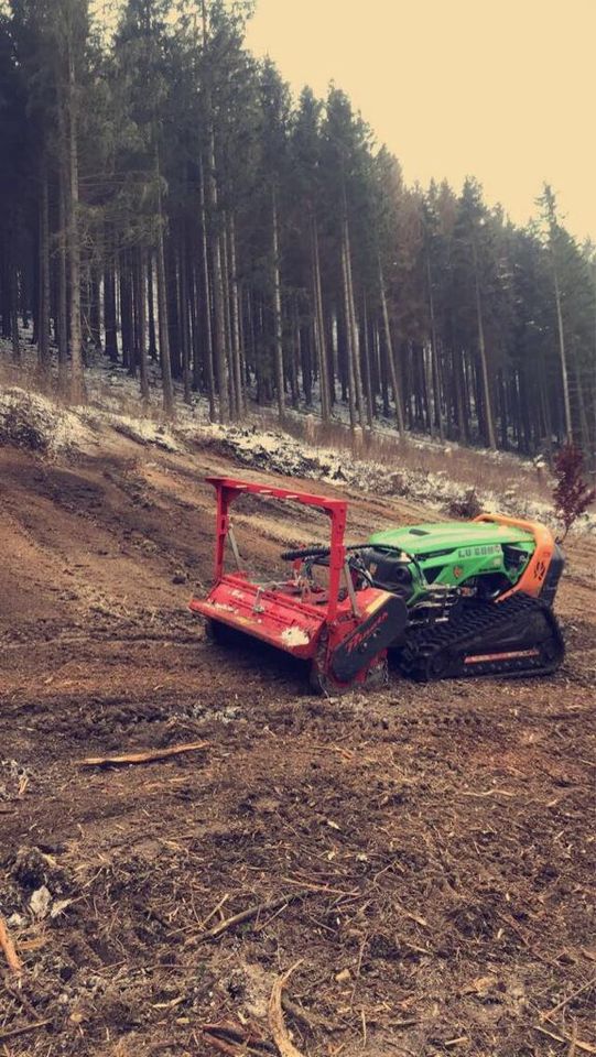 PRINOTH (ehem. AHWI) M450h 1,25m Forstmulcher, LAGER in Schmallenberg