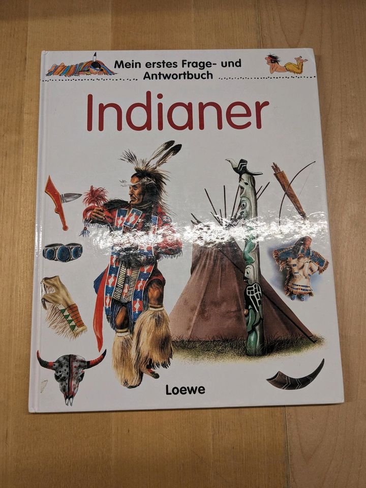 Diverse Kinderbücher zum Thema  Indianer, Cowboys, Wilder Westen in Herzogenaurach