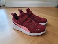 Puma Anzarun Sneaker Gr 33 in Weinrot Nordrhein-Westfalen - Coesfeld Vorschau