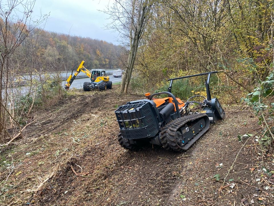 Mähraupe Mulchen Forstfräse Stubbenfräse Gestrüpp mulchen in Berne