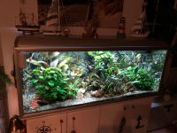 Aquarium Akvastabil 250 Liter Schleswig-Holstein - Leck Vorschau