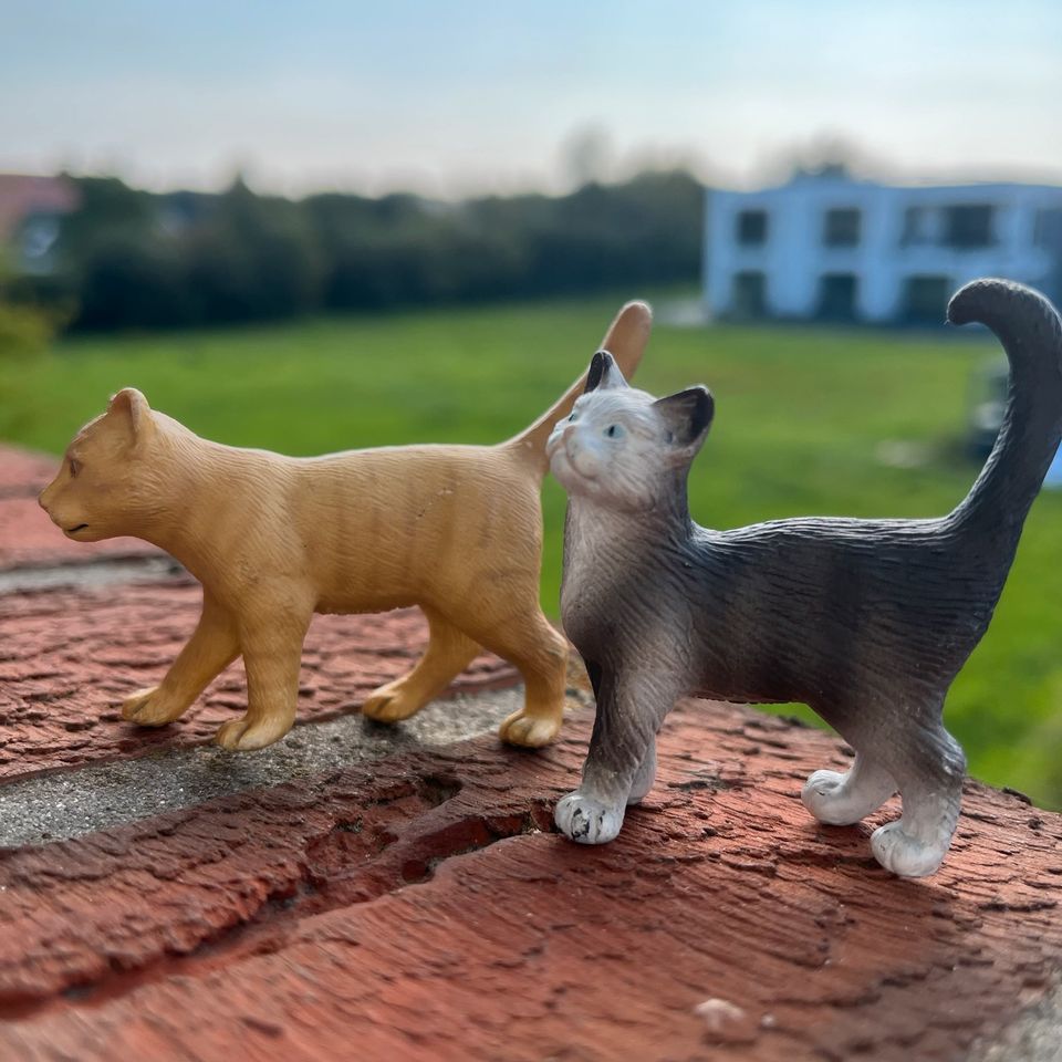 Schleich Katzen Sammlung Konvolut Tiere Bauernhof in Kritzmow