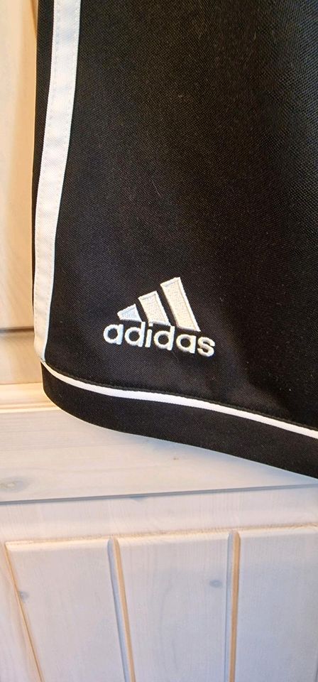 Sporthose Shorts adidas kurz in Zschorlau