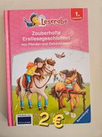 Erstlesegeschichten Pferde und Geheimnisse Nordrhein-Westfalen - Hörstel Vorschau