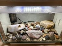 Aquarium, 3x Heater, 1x Filter Rostock - Gehlsdorf Vorschau