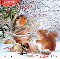 Huacan Diamond Diamant Painting 50x50 neu Eichhörnchen Winter Bayern - Halblech Vorschau