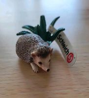 Schleich Weißbauchigel Igel unbespielt 14676 Sachsen-Anhalt - Landsberg (Saalekreis) Vorschau