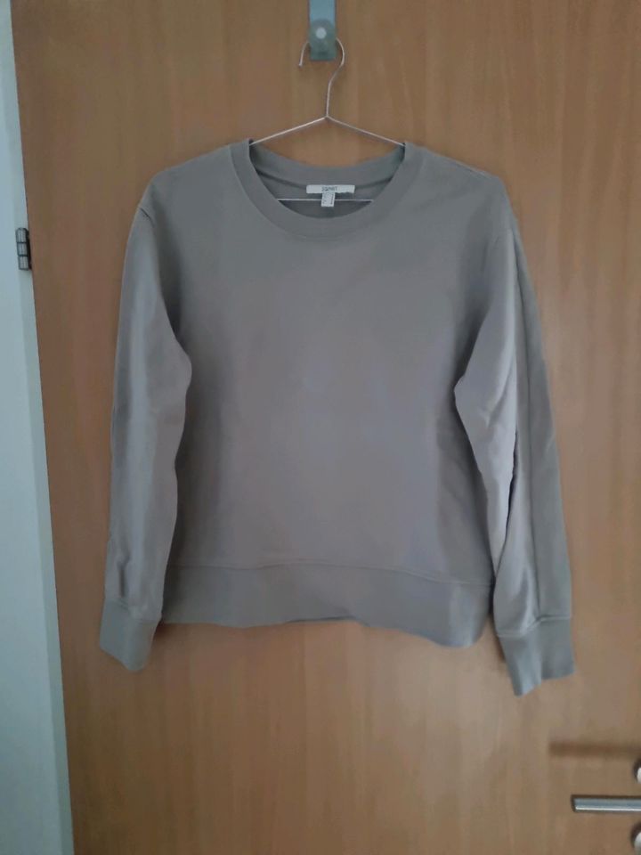 Esprit Pullover S beige in Füssen