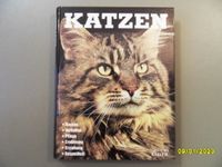 Buch Katzen von Neuer Kaiser Verlag Brandenburg - Kolkwitz Vorschau