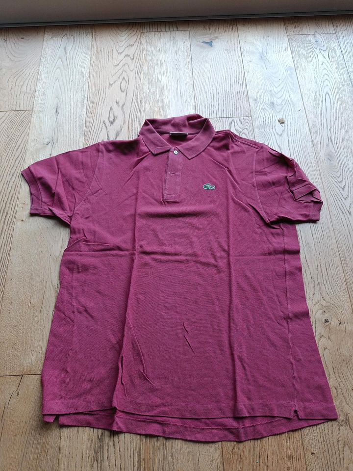 Lacoste Poloshirt Größe 8 XXXL Bordeaux T-Shirt in Bochum