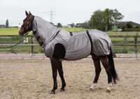 Harrys Horse Ekzem/Fliegen Decke mit UV Schutz Nordrhein-Westfalen - Mönchengladbach Vorschau