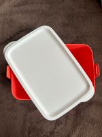 Tupperware - Click & Go - Rot - 1,5 Liter Brandenburg - Luckau Vorschau