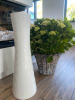 Hutschenreuther Selb Vase Relief XXL Bodenvase 72cmHans Achziger München - Allach-Untermenzing Vorschau