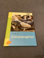 Gefiederte Welt - Graupapageien Bayern - Edling Vorschau