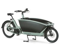 NEU!! Urban Arrow Active Plus in sage green - Salbei grün HB Hemelingen - Sebaldsbrück Vorschau