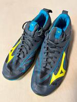 Handball Schuhe der Marke Mizzuno Gr. 46,5 in gutem Zustand Hessen - Espenau Vorschau